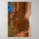 Palatki Indian Ruins 3380 posters