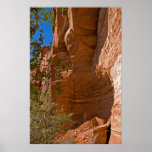 Palatki Indian Ruins 3380 Posters