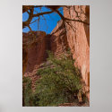 Palatki Red Rock Monoliths 3345 posters