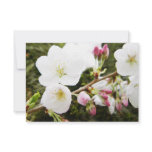 Pale Beauties Personalized Invitation