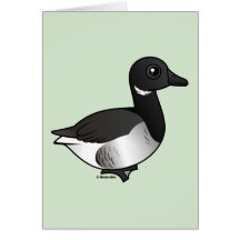 Pale-bellied Brant Goose Greeting Card