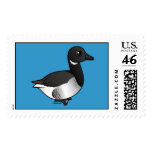 Pale-bellied Brant Goose Stamp
