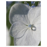 Pale blue flower with rain drop flyers