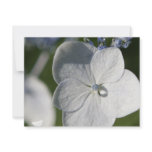 Pale blue flower with rain drop personalized invite
