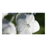 Pale blue flower with rain drop photo cards