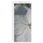 Pale blue flower with rain drop rack cards