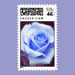 Pale Blue Rose Postage postage