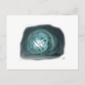 Pale Blue Rose Spolighted Cutout postcard