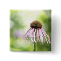 Pale Coneflower - Echinacea Pallida Pins