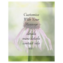 Pale Coneflower - Echinacea Pallida Personalized Flyer