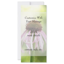 Pale Coneflower - Echinacea Pallida Custom Rack Card