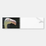 Pale Flamingo Bumper Sticker