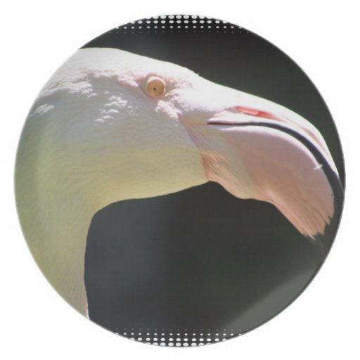Pale Flamingos  Plate