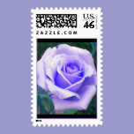 Pale Lavender Rose Postage postage