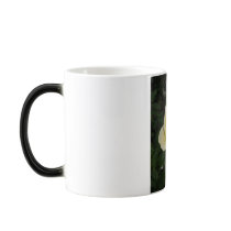 Pale Lemon Rose Morphing Mug