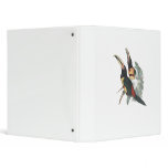 Pale-mandibled Aracari 3 Ring Binder