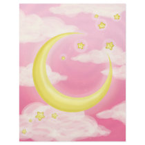Pale Moon on Pink Flyers