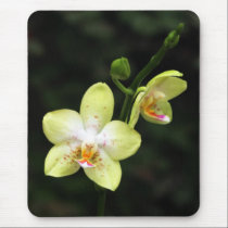 Pale Orchids mousepads