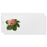 Pale Peach and Cream Hydrangea Full Color Rack Card