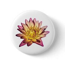 Pale Pink and Yellow Water Lily buttons