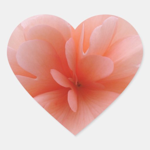 Pale Pink Begonia Gift Range Stickers