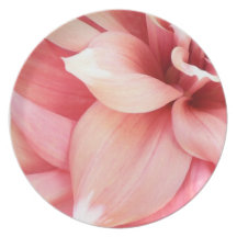 Pale Pink Dahlia Party Plates