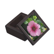 Pale Pink Lavatera Premium Trinket Boxes