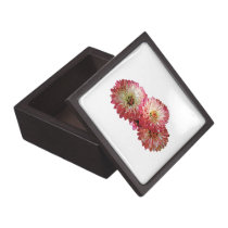 Pale Pink Mums premium gift boxes