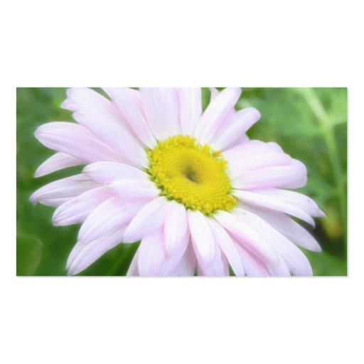 Pale Pink Painted Daisy Business Card (back side)