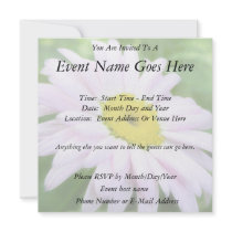 Pale Pink Painted Daisy Announcement