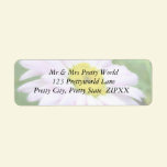 Pale Pink Painted Daisy labels
