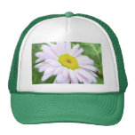 Pale Pink Painted Daisy Trucker Hat