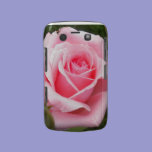 Pale Pink Rose Blackberry Bold Case casemate cases