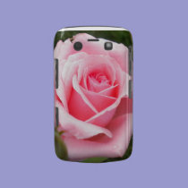 Pale Pink Rose Blackberry Bold Case casemate cases