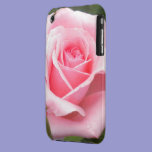 Pale Pink Rose iPhone 3  Case casemate cases