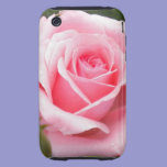Pale Pink Rose iPhone 3  Case casemate cases