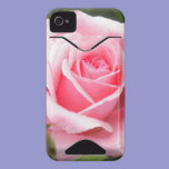 Pale Pink Rose iPhone 4 case casemate cases