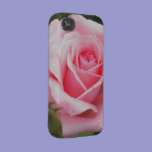 Pale Pink Rose iPhone 4 case casemate cases