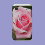 Pale Pink Rose Samsung Galaxy S Case casemate cases