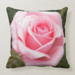 Pale Pink Rose Throw Pillow american mojo pillows
