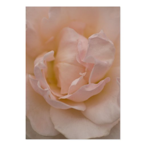 Pale Pink Rose Wedding Charity Card Business Card Templates (back side)