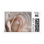 Pale Pink Rose Wedding Postage stamp