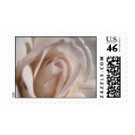 Pale Pink Rose Wedding Postage