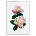 Pale Pink Rosebuds Variety Pristine cards by SusanSavad Pale Pink Rosebuds Variety Pristine cards
