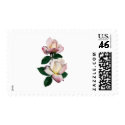 Pale Pink Rosebuds Variety Pristine postage
