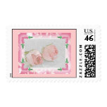 Pale Pink Roses Postage
