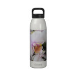Pale Pink & White Phalaenopsis Orchid Water Bottle water bottles