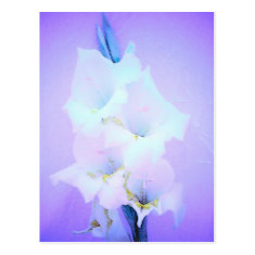 Pale Purple Flowers Post Card