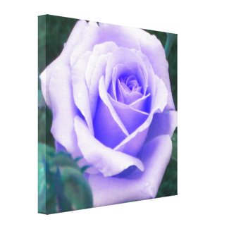 Pale Purple Rose Wrapped Canvas Print wrappedcanvas