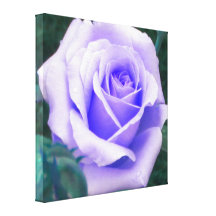 Pale Purple Rose Wrapped Canvas Print